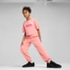 Зображення Puma Дитячі штани ESS Sweatpants Youth #3: Pink Fruit