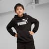 Зображення Puma Дитяче худі ESS No. 1 Logo Hoodie Youth #1: Puma Black