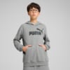 Зображення Puma Дитяче худі ESS No. 1 Logo Hoodie Youth #1: Medium Gray Heather