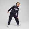 Зображення Puma Дитяче худі ESS No. 1 Logo Hoodie Youth #3: new navy