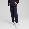 Изображение Puma Детские брюки ESS No. 1 Logo Sweatpants Youth #1: new navy