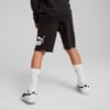 Зображення Puma Дитячі шорти ESS No. 1 Logo Shorts Youth #2: Puma Black