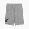 Изображение Puma Детские шорты ESS No. 1 Logo Shorts Youth #5: Medium Gray Heather