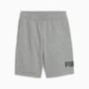 Изображение Puma Детские шорты ESS No. 1 Logo Shorts Youth #4: Medium Gray Heather