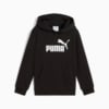 Изображение Puma Детское худи Essentials No. 1 Logo Hoodie Kids #1: Puma Black