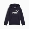 Зображення Puma Дитяче худі Essentials No. 1 Logo Hoodie Kids #1: new navy