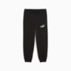 Зображення Puma Дитячі штани Essentials No. 1 Logo Sweatpants Kids #1: Puma Black