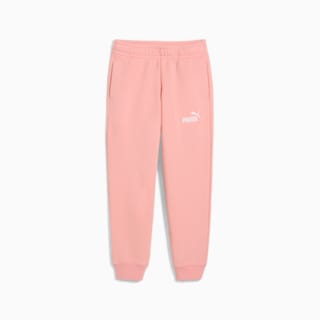 Зображення Puma Дитячі штани Essentials No. 1 Logo Sweatpants Kids