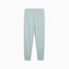 Зображення Puma Штани ESS ELEVATED Sweatpants Women #4: Modern Mint