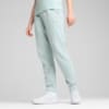 Зображення Puma Штани ESS ELEVATED Sweatpants Women #1: Modern Mint