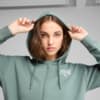 Зображення Puma Кофта PUMA CLASS Relaxed Full-Zip Hoodie Women #2: Green Moon