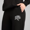 Изображение Puma Брюки PUMA CLASS Comfort Sweatpants Women #5: Puma Black