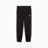 Изображение Puma Брюки PUMA SPORT Comfort Sweatpants Women #1: Puma Black