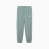 Зображення Puma Штани PUMA SPORT Comfort Sweatpants Women #1: Green Moon