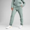 Изображение Puma Брюки EVOSTRIPE Sweatpants Women #1: Green Moon