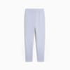 Изображение Puma Брюки EVOSTRIPE Sweatpants Women #7: Cool Weather