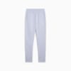 Изображение Puma Брюки EVOSTRIPE Sweatpants Women #6: Cool Weather