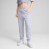 Изображение Puma Брюки EVOSTRIPE Sweatpants Women #1: Cool Weather