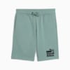 Зображення Puma Дитячі шорти Mid 90s Long Shorts Youth #4: Green Moon