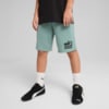 Зображення Puma Дитячі шорти Mid 90s Long Shorts Youth #1: Green Moon