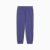 Зображення Puma Дитячі штани Cats Club Sweatpants Kids #6: Blue Crystal