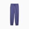 Изображение Puma Брюки HER Comfort High-Waist Sweatpants Women #6: Blue Crystal