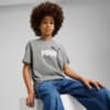 Imagen PUMA Polera Essentials 1 Colour No. 1 Logo juvenil #1