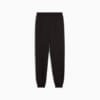 Зображення Puma Дитячі штани PUMA Class Sweatpants Youth #5: Puma Black
