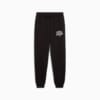 Зображення Puma Дитячі штани PUMA Class Sweatpants Youth #4: Puma Black