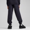 Зображення Puma Дитячі штани PUMA Class Sweatpants Youth #2: new navy