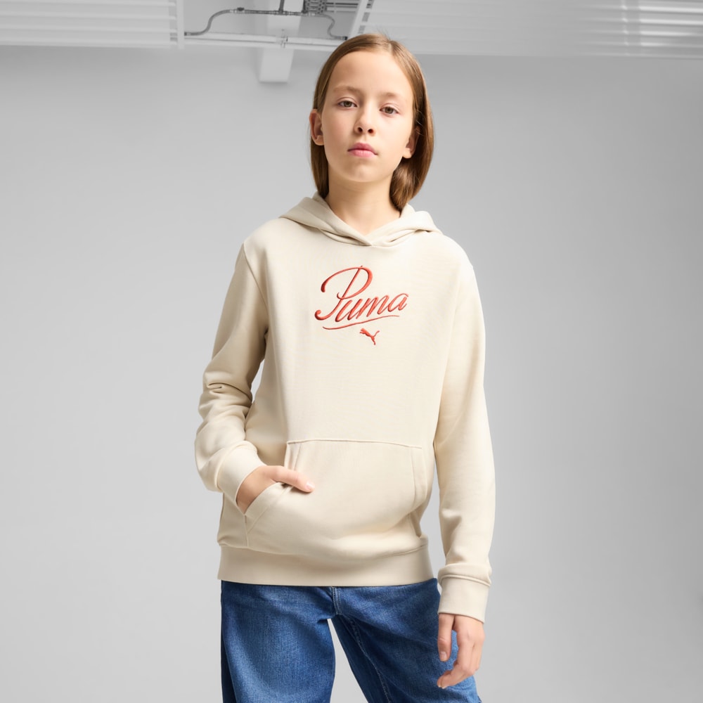 Зображення Puma Дитяче худі Essentials Script Hoodie Youth #1: Alpine Snow