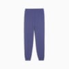 Зображення Puma Дитячі штани PUMA Class Sweatpants Youth #5: Blue Crystal