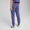 Зображення Puma Дитячі штани PUMA Class Sweatpants Youth #2: Blue Crystal