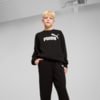 Зображення Puma Дитячий спортивний костюм Essentials No. 1 Logo Crew Sweat Suit Youth #1: Puma Black