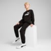 Зображення Puma Дитячий спортивний костюм Essentials No. 1 Logo Crew Sweat Suit Youth #3: Puma Black