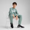 Изображение Puma Детский cпортивный костюм Essentials No. 1 Logo Crew Sweat Suit Youth #1: Green Moon