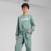 Изображение Puma Детский cпортивный костюм Essentials No. 1 Logo Crew Sweat Suit Youth #3: Green Moon