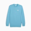 Изображение Puma Свитшот Essentials Small Logo Crew Men #1: Dusty Aqua