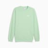Изображение Puma Свитшот Essentials Small Logo Crew Men #1: Light Mint
