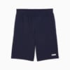 Зображення Puma Шорти Essentials Logo Jersey 10'' Shorts Men #1: PUMA Navy