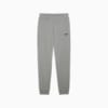 Изображение Puma Брюки Essentials Logo Sweatpants Men #1: Medium Gray Heather