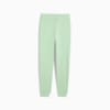 Зображення Puma Штани Essentials Logo Sweatpants Men #2: Light Mint