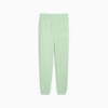 Зображення Puma Штани Essentials Logo Sweatpants Men #1: Light Mint