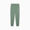 Изображение Puma Брюки Essentials Logo Sweatpants Men #1: Eucalyptus