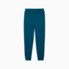 Изображение Puma Брюки Essentials Logo Sweatpants Men #2: Ocean Tropic