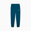 Изображение Puma Брюки Essentials Logo Sweatpants Men #1: Ocean Tropic