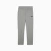 Зображення Puma Штани Essentials Logo Sweatpants Men #1: Medium Gray Heather