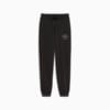 Imagen PUMA Polerón PUMA CLASS Comfort para mujer #4