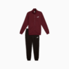 Зображення Puma Спортивний костюм Essentials Sweat Suit Men #1: Ruby Shimmer