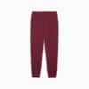 Изображение Puma Брюки Essentials Logo Sweatpants Women #2: Dark Jasper